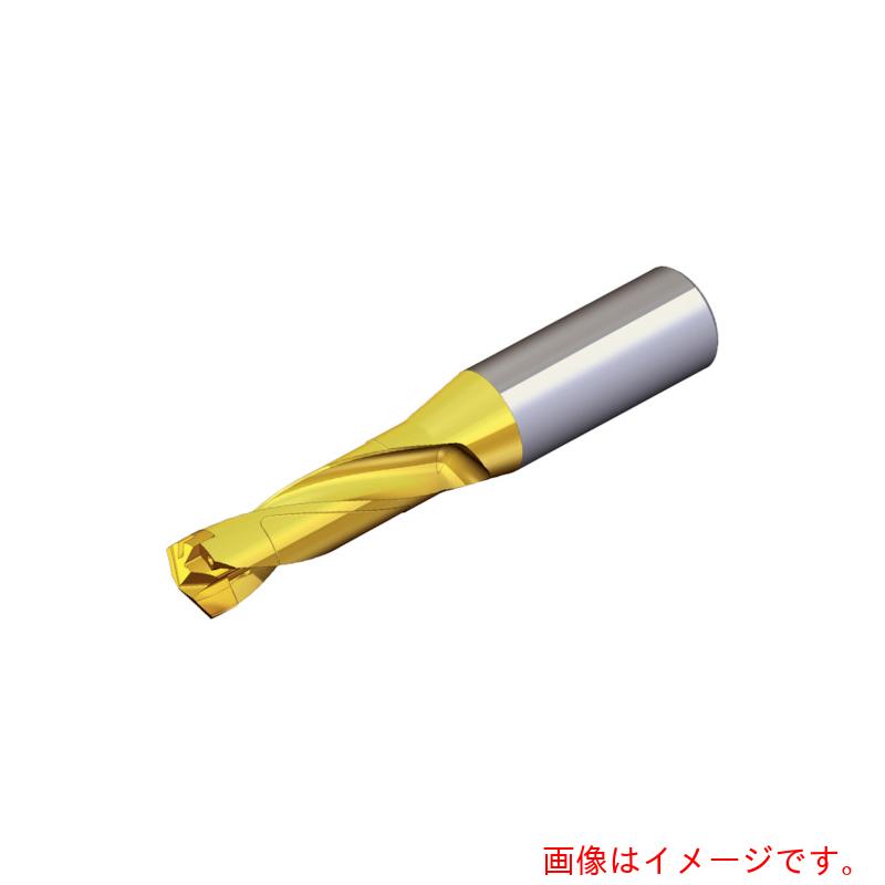 NTKカッティングツールズ TAEGUTEC 刃先取り替えっこ式せん孔機保持者 せん孔機混雑時 【品番：TCD 200-209-25S0-3D】