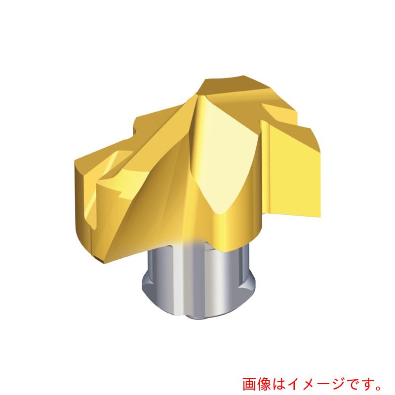 NTKカッティングツールズ TAEGUTEC 刃先取り替えっこ式せん孔機用上端 せん孔機混雑時 【品番：TCD-200-K          TT9080】