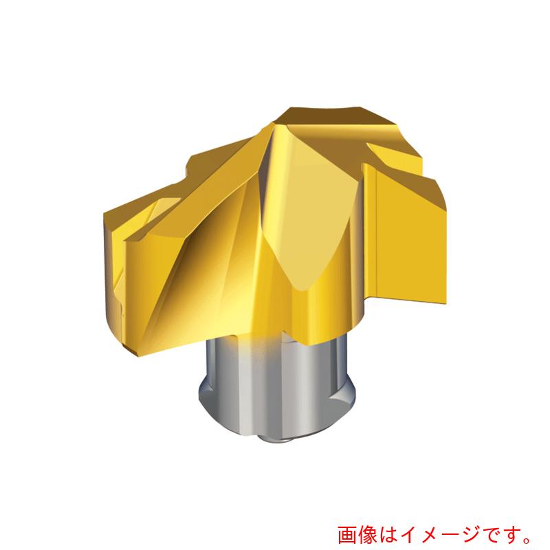 NTKカッティングツールズ TAEGUTEC 刃先取り替えっこ式せん孔機用上端 せん孔機混雑時 【品番：TCD-200-M          TT9080】