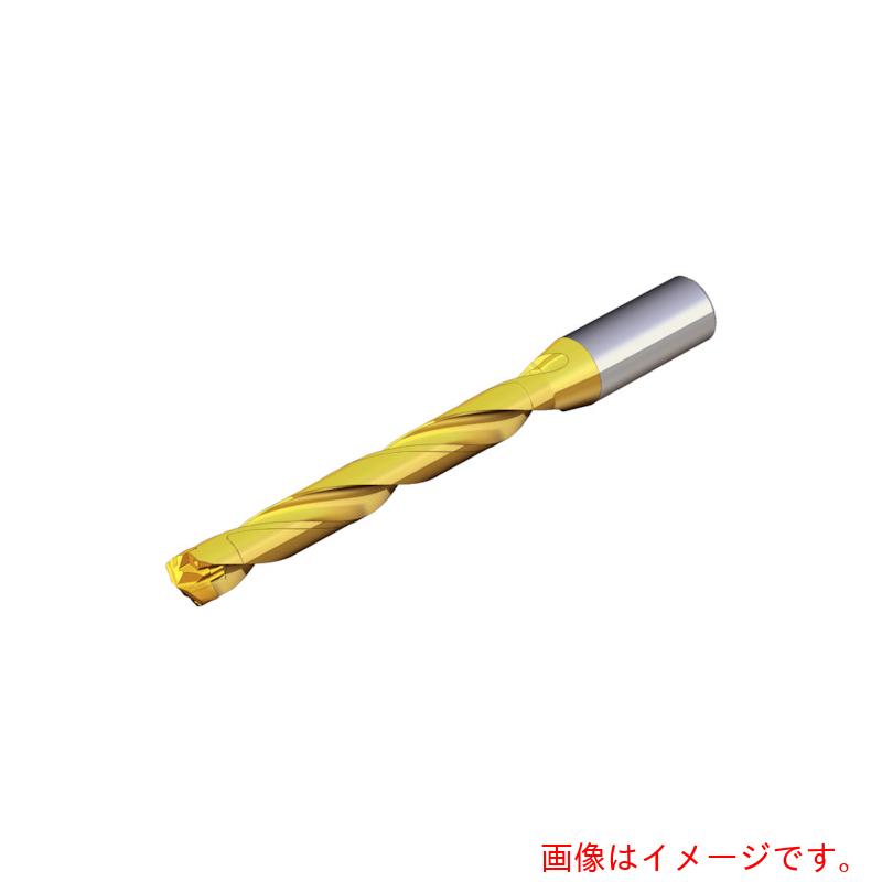 NTKカッティングツールズ　TAEGUTEC　刃先交換式ドリルホルダー　ドリルラッシュ　【品番：TCD 240-249-32S0-8D】
