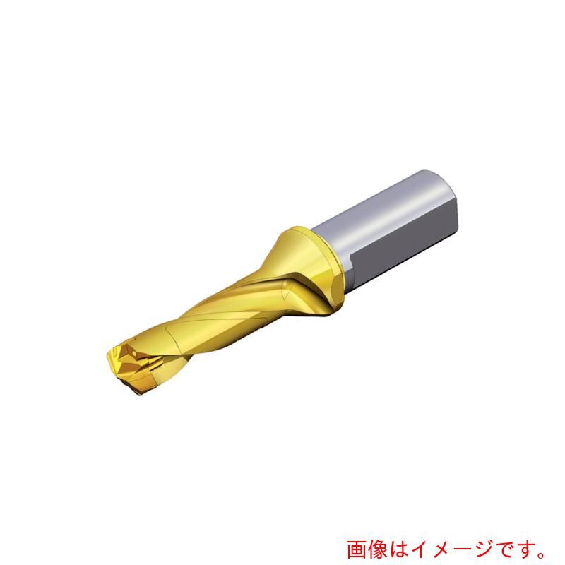 NTKカッティングツールズ TAEGUTEC 刃先取り替えっこ式せん孔機保持者 せん孔機混雑時 【品番：TCD 240-249-32T2-3D】