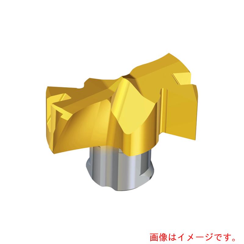 NTKカッティングツールズ TAEGUTEC 刃先取り替えっこ式せん孔機用頭顱 せん孔機混雑時 【品番：TCD-255-F          TT9080】 その他-花・ガーデン・DIY-DIY・工具