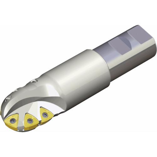 NTKカッティングツールズ　TAEGUTEC　チェイスボール　【品番：TDB50X 59-W42-L200】