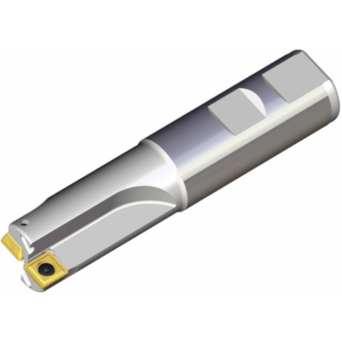 NTKカッティングツールズ　TAEGUTEC　チェイスクアッド　【品番：TDM 222 W25-06】