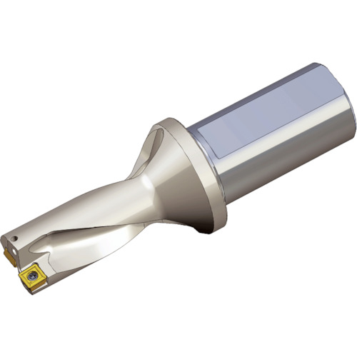 NTKカッティングツールズ　TAEGUTEC　刃先交換式ドリルホルダー　Ｔドリル　【品番：TDR 2440-40T2-14】