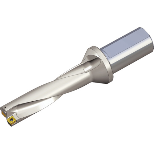 NTKカッティングツールズ TAEGUTEC 刃先交換式ドリルホルダー Ｔドリル 【品番：TDR 4225-32T2-07】