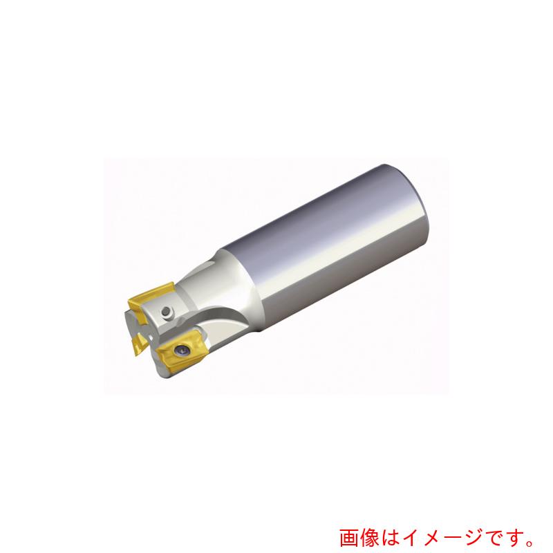 NTKカッティングツールズ TAEGUTEC ミーリング截断機 チェイスミル 【品番：TE90AP 225-W25-17-C】
