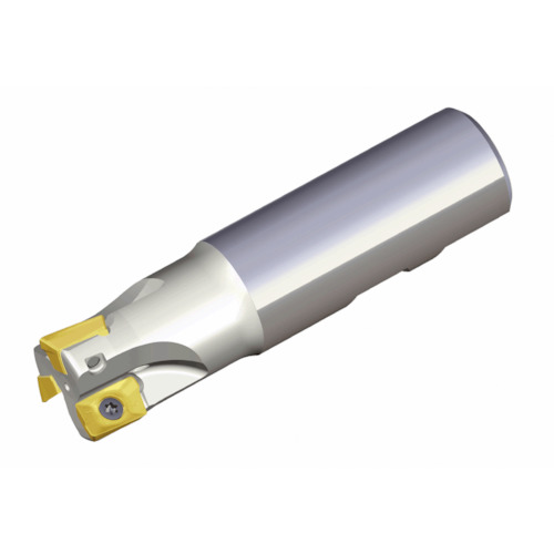 NTKカッティングツールズ TAEGUTEC ミーリング切断機 チェイスミル 【品番：TE90AP 226-25-12-L200】