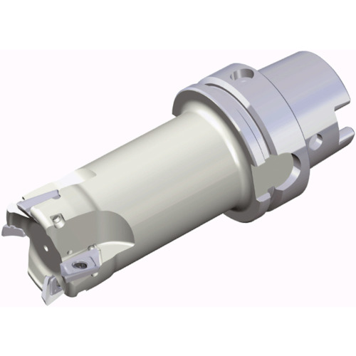 NTKカッティングツールズ　TAEGUTEC　チェイスミル　【品番：TE90XEV 450-120-HSK63A-16】