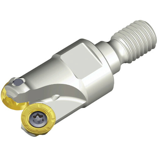 NTKカッティングツールズ　TAEGUTEC　チェイスモールド　【品番：TERD 312-M08-05】