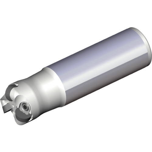 NTKカッティングツールズ　TAEGUTEC　チェイスモールド　【品番：TERP 440-32-12-L120】