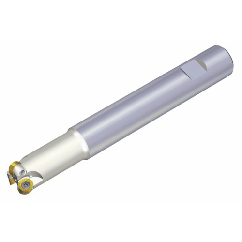 NTKカッティングツールズ　TAEGUTEC　チェイスモールド　【品番：TERY 321-20-08-L150】