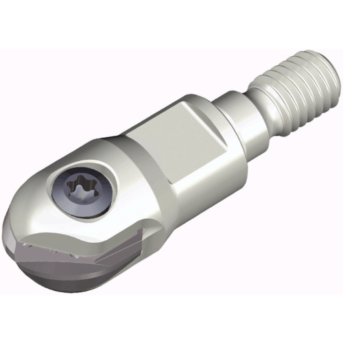 NTKカッティングツールズ TAEGUTEC チェイスボール 【品番：TNF 200-M10】