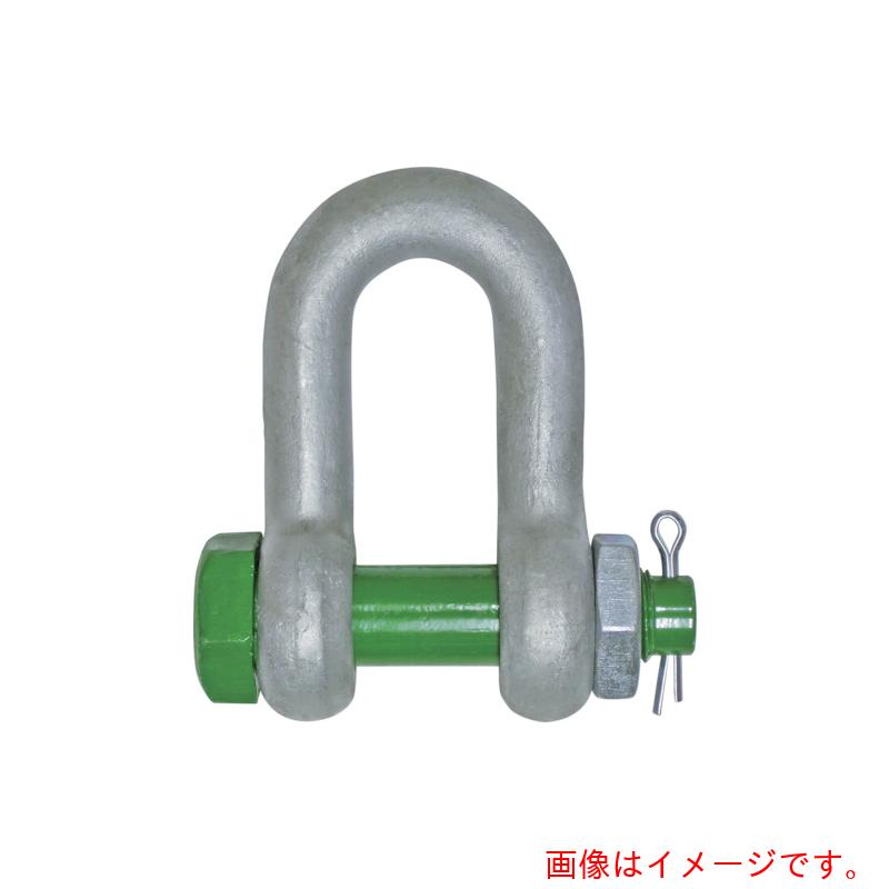 ★【別途送料あり】大洋製器工業（TAIYO）　グリーンピンスタンダードシャックル　ストレート・ボルトナット　５５ｔ（３３００２７６）　【品番：GPSB-55T】
