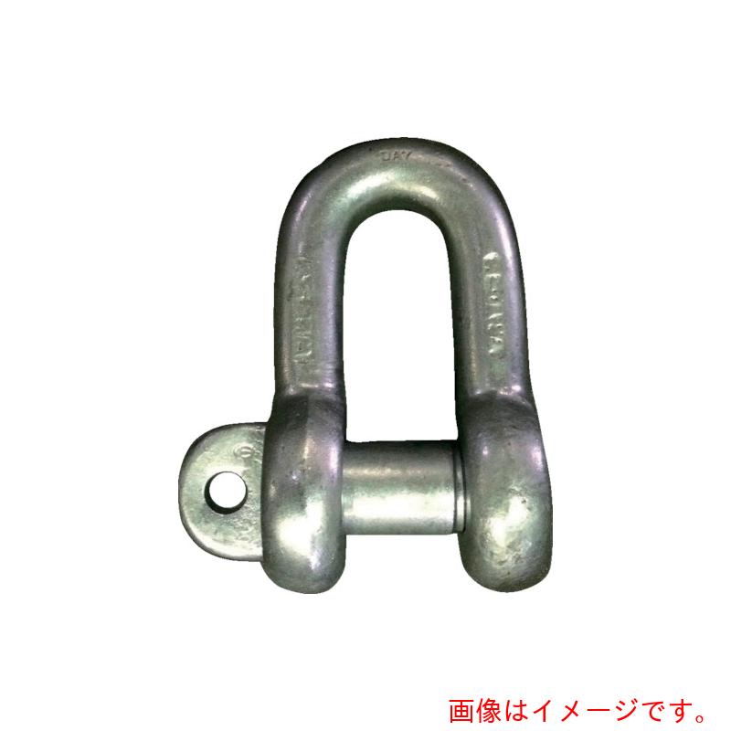 ★大洋製器工業（TAIYO）　ＪＩＳシャックル　Ｍ級　ドブ　ＳＣ－２８（１０１０６１６）　【品番：JSC28G】
