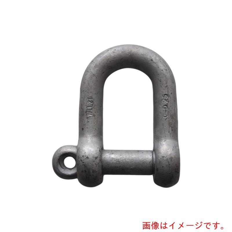 ★大洋製器工業（TAIYO） 捻込シャックル ドブ ３８ＭＭ（１００８８５１） 【品番：NGS38G】