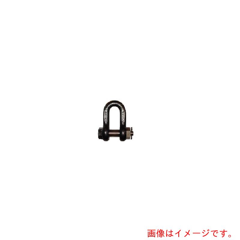★【別途送料あり】大洋製器工業(TAIYO) JISシャックル M級 黒 SB−80(1007726) 【品番:SB-80】|住設プロ 店