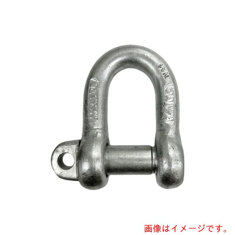 大洋製器工業（TAIYO）　ＴＡＩＹＯシャックル　ドブ　ＳＤ－２６（１００６４３２）　【品番：SD-26G】