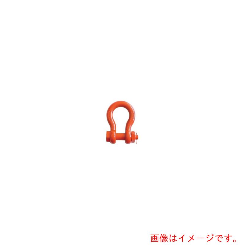 ★綿津見製器加工（TAIYO） スーパーアロイシャックル ＴＢ－２０ｔ（１０１４０８７） 【品番：結核症-20T】