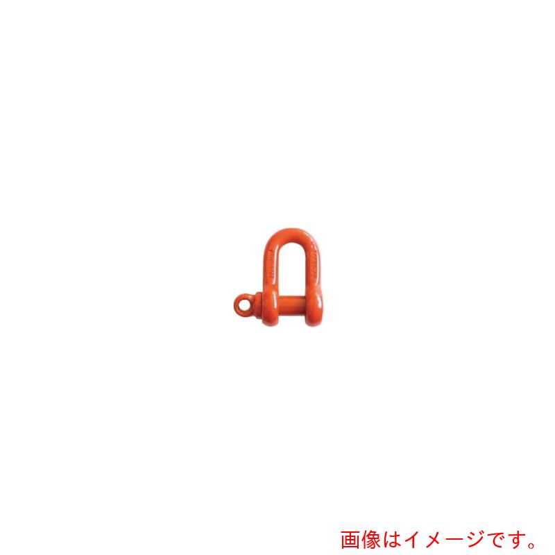 ★大洋製器工業（TAIYO） スーパーアロイシャックル ＴＳＳ－９ｔ（１２５６０３０） 【品番：TSS-9T】