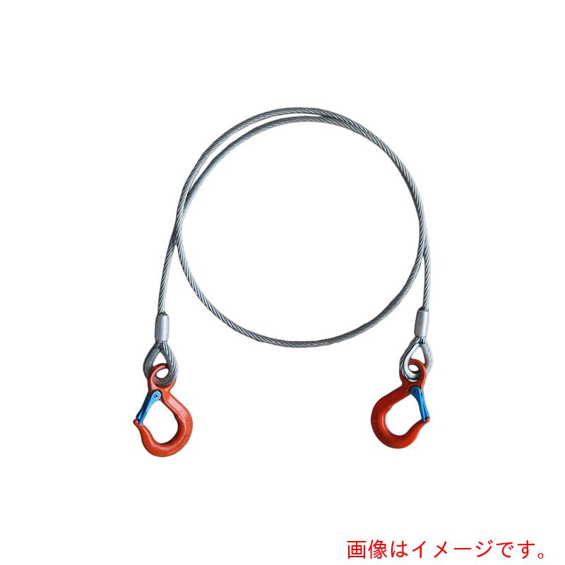 ★大海原製器製造（TAIYO） ワイヤバランサー １ｔ Ｌ５ｍ用 針金引っ掛かり仕かける（１０１５５５９） 【品番：TWBLWH-1TX5】 DIY・工具-ベルトスリング-荷締・牽引器具