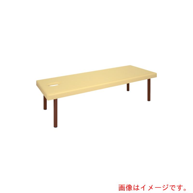 ★高田臥榻製造所（TakadaBed） 有孔ＤＸ上半身臥榻幅：５５ｃｍ長さ：１８０ｃｍ高さ：５５ｃｍ色：象牙色 【品番：結核症-1211U-5518055-IV】