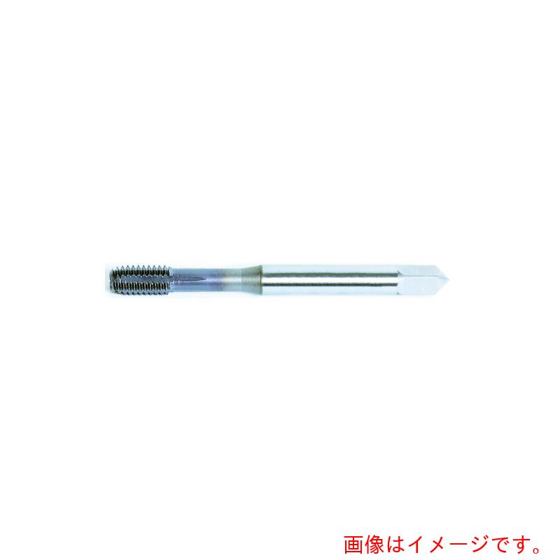 田野井製作所 タフレット・サライ用 M10×1.5 P1 48886 【10個】 【品番:SR-TF M10X1.5 P1】