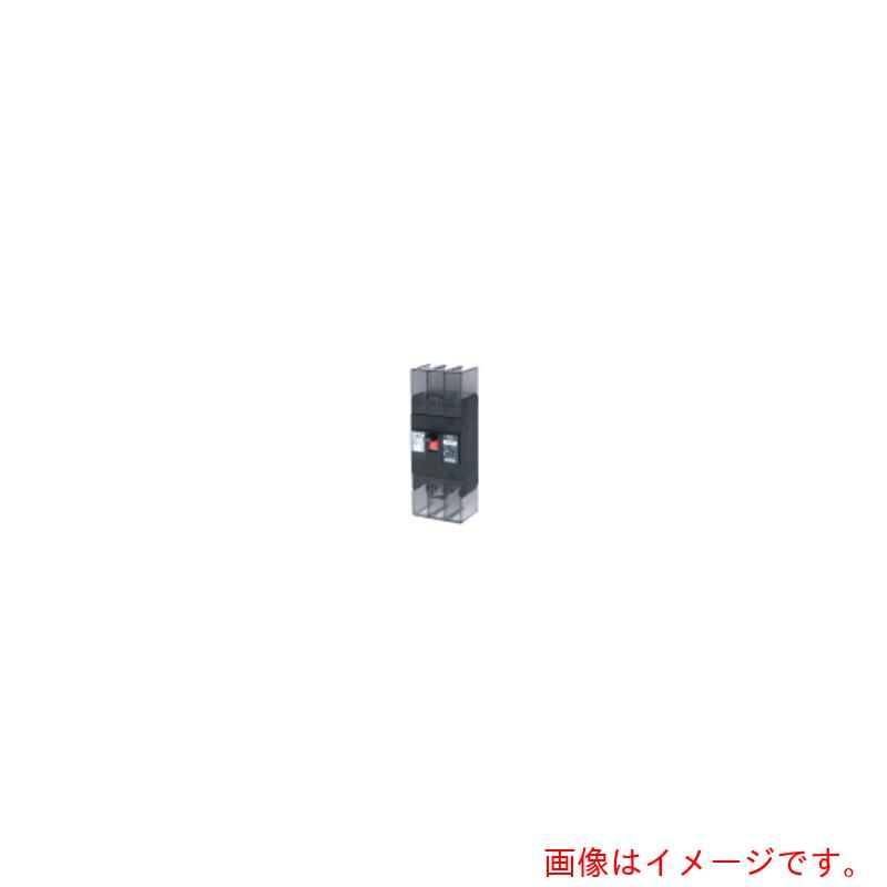 テンパール工業　漏電遮断器：経済タイプ　【品番：222EA17W2L】