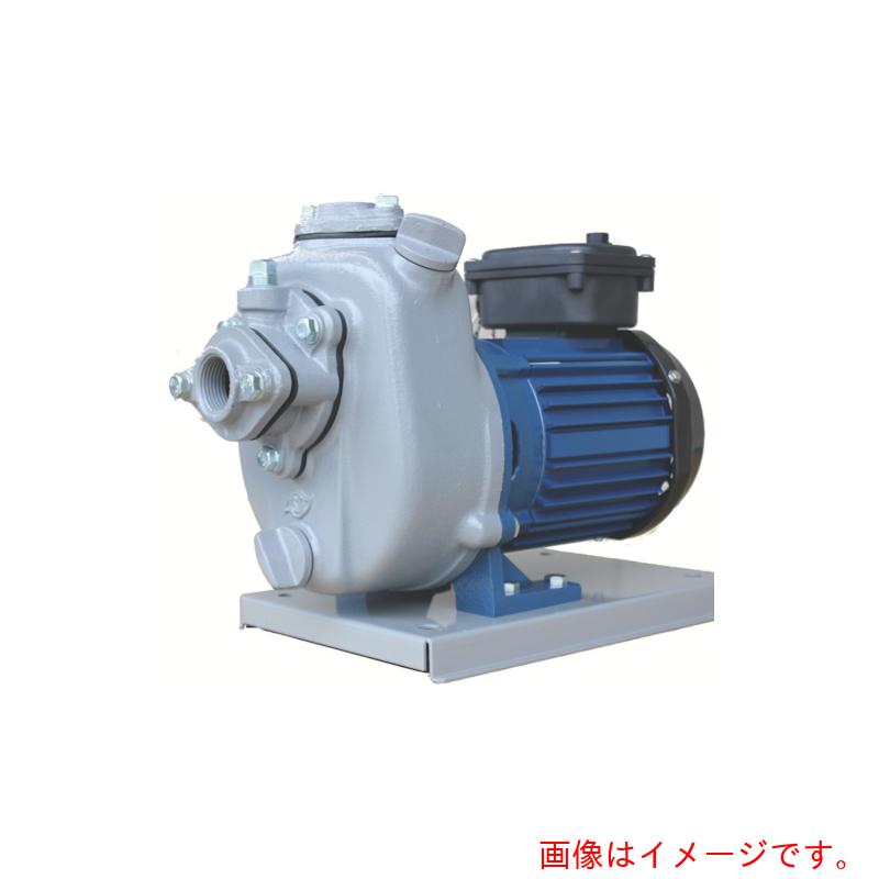 寺田ポンプ製作所（TERADA）　陸上ポンプ　セルプラポンプ　全閉外扇屋外形電動機付　５０Ｈｚ　０．７５ｋｗ　全揚程８．５ｍ　【品番：MP4N-0071R 50HZ】