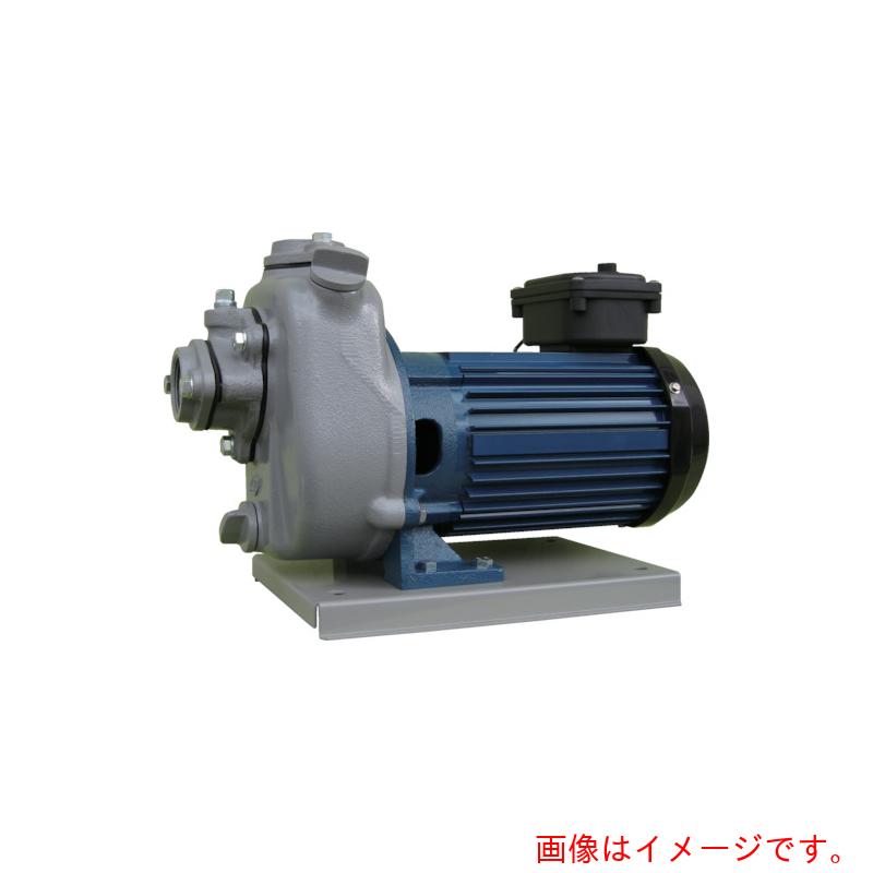 寺田ポンプ製作所（TERADA）　陸上ポンプ　セルプラポンプ　全閉外扇屋外形電動機付　６０Ｈｚ　単相１００　全揚程１４ｍ　【品番：MPT1-0021R 60HZ】