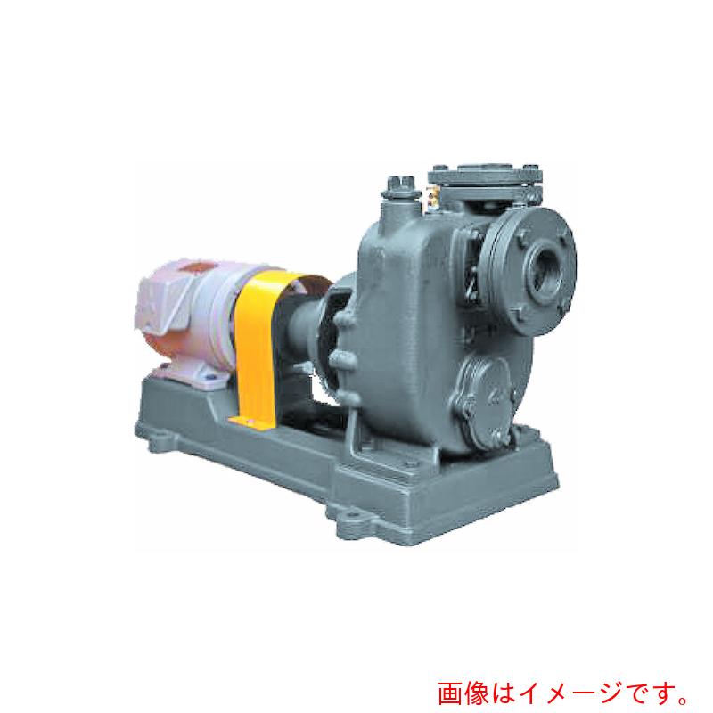 【別途送料あり】寺田ポンプ製作所（TERADA）　セルプラポンプ　鋳鉄製ペアーポンプ　【品番：P-4E 60HZ】