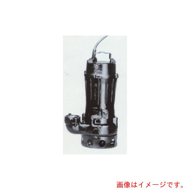 寺田揚水機製造所（TERADA） 汚れ用水中揚水機  ０．７５ｋｗ 全揚程８．２ｍ ５０Ｈｚ 【品番：TCN4-507】