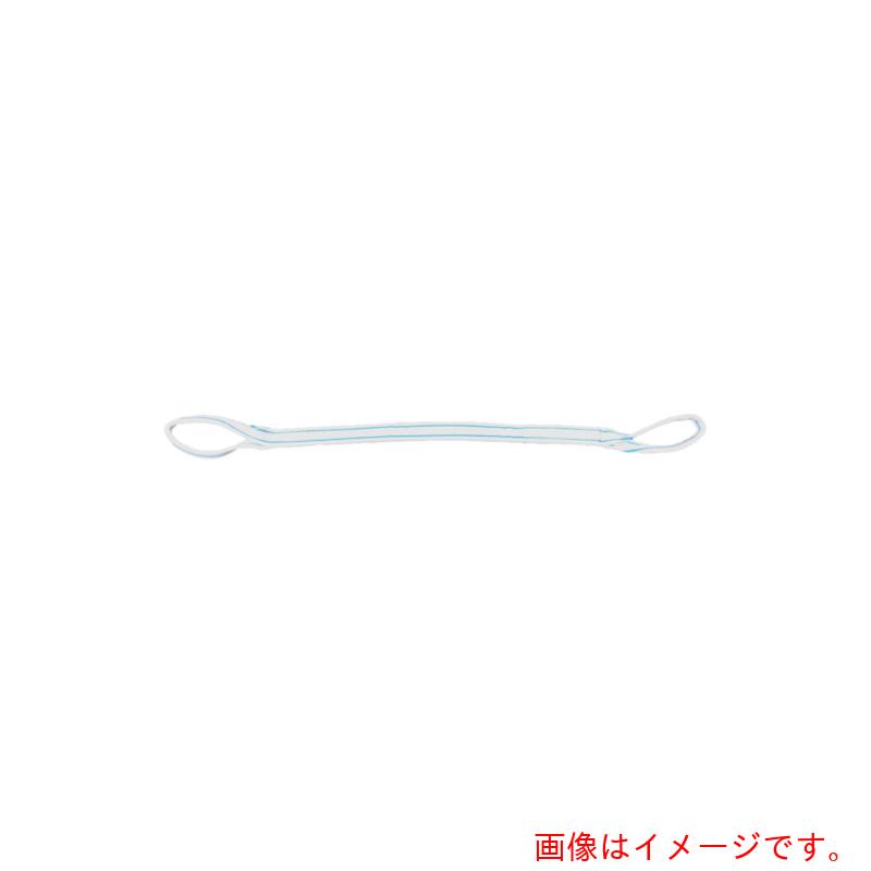 【別途送料あり】テザック（TESAC）　耐化学薬品用スリング（ＪＩＳ２等級・両端アイ形）２５ｍｍ幅&times;５．５ｍ　【品番：PP2E25X5.5】｜住設プロ　店
