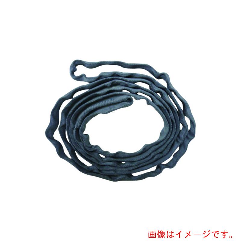 【別途送料あり】テザック（TESAC） ブルースリングソフトＮ形（エンドレスタイプ）荷重０．５ｔ 全長４ｍ（ＪＩＳ規格品） 【品番：TBSN0.5TX4M】