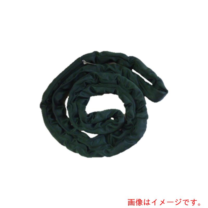 【別途送料あり】テザック(TESAC) ブルースリングソフトN形(エンドレスタイプ)25t用×6m 【品番:TBSN25TX6M】|住設プロ 店