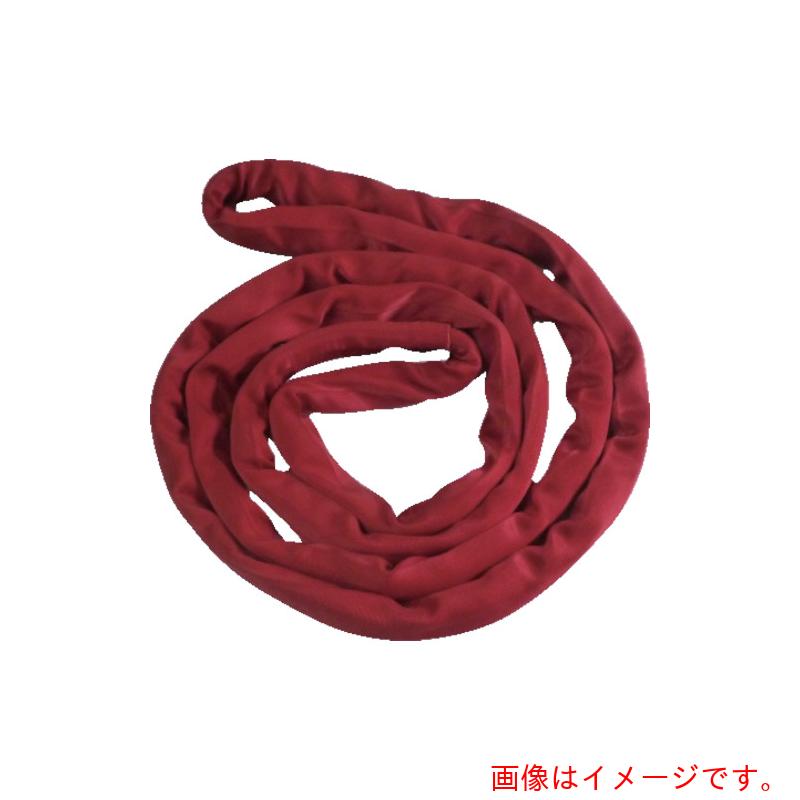【別途送料あり】テザック（TESAC）　ブルースリングソフトＮ形（エンドレスタイプ）５ｔ用×４ｍ（ＪＩＳ規格品）　【品番：TBSN5TX4M】