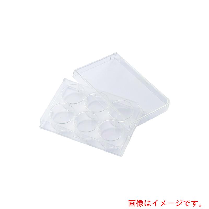 東京硝子器械 TGK マルチディッシュ6平底プレート 60枚 【品番:425-28-55-01】|住設プロ 店
