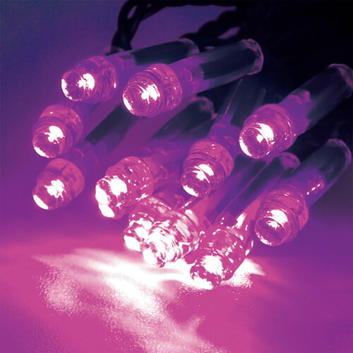 トライト（tlight）　ＬＥＤイルミネーション　ブルーローズ（拡散型）　【24個】　【品番：CSBBR1-100-100P/2】 139,216円