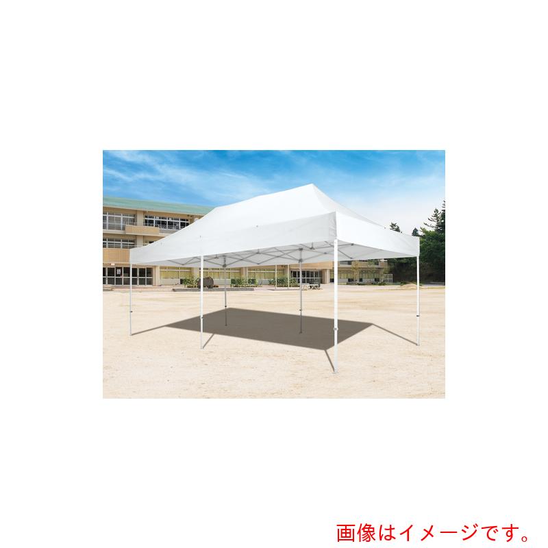 【別途送料あり】トーエイライト（TL）　ワンタッチテントＤＸ６０　【品番：G1692G】