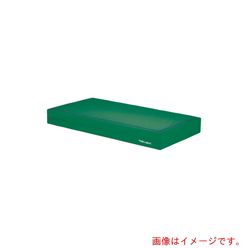 トーエイともし火（TL） 屋内用色合い引っ敷き２０継ぎ合わせる 【品番：G1789G】 その他-掃除用品-日用品雑貨・文房具・手芸