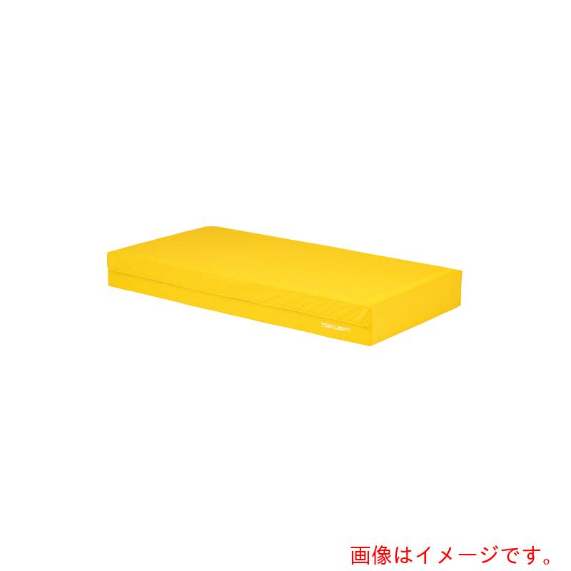 トーエイともし火（TL） 屋内用色合いつや消し２０継ぎ合わせる 【品番：G1789Y】