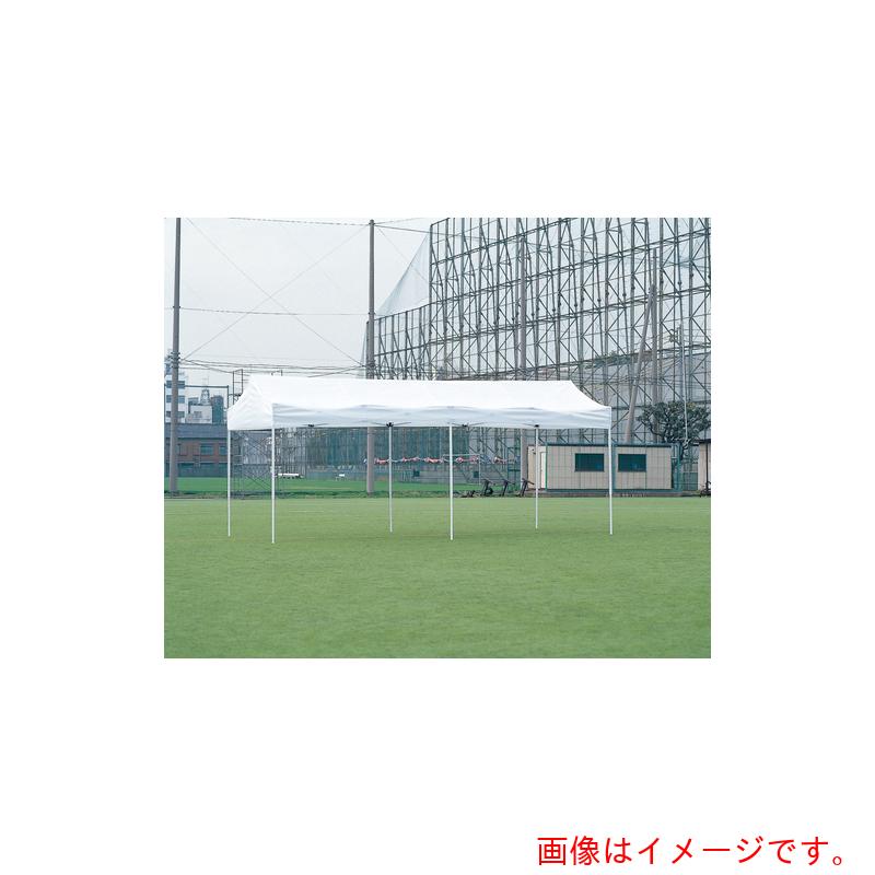 【別途送料あり】トーエイライト（TL）　ワンタッチテントＫ３０６０　【品番：G1889B】