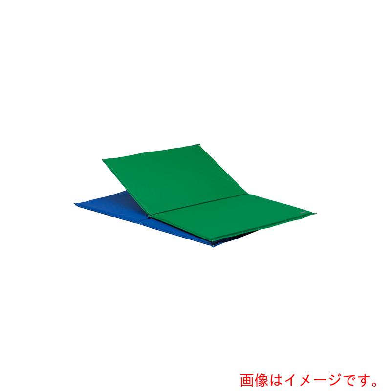 トーエイライト(TL) 鉄棒用下敷きマット 鉄棒用下敷マットST90 【品番:T1219G】|住設プロ 店