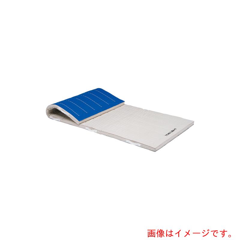 【別途送料あり】トーエイライト（TL） 合成スポンジマット １２０×６００×６ｃｍ 【品番：T1806】