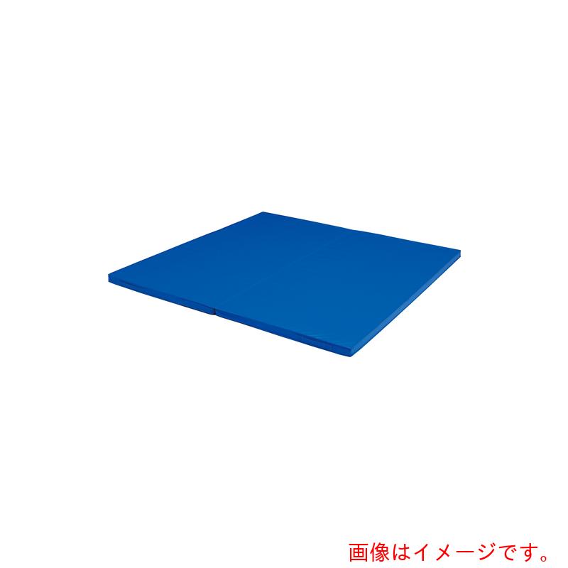 トーエイライト（TL）　投込み練習マット　二つ折り投込み練習マット２×２　【品番：T1831】