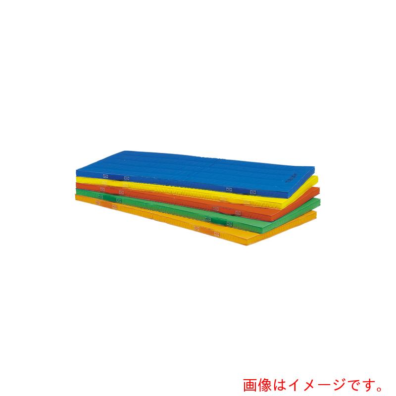 【別途送料あり】トーエイライト（TL）　エコカラーコンビネーションマット　９０×１８０×５ｃｍ　【品番：T1892G】