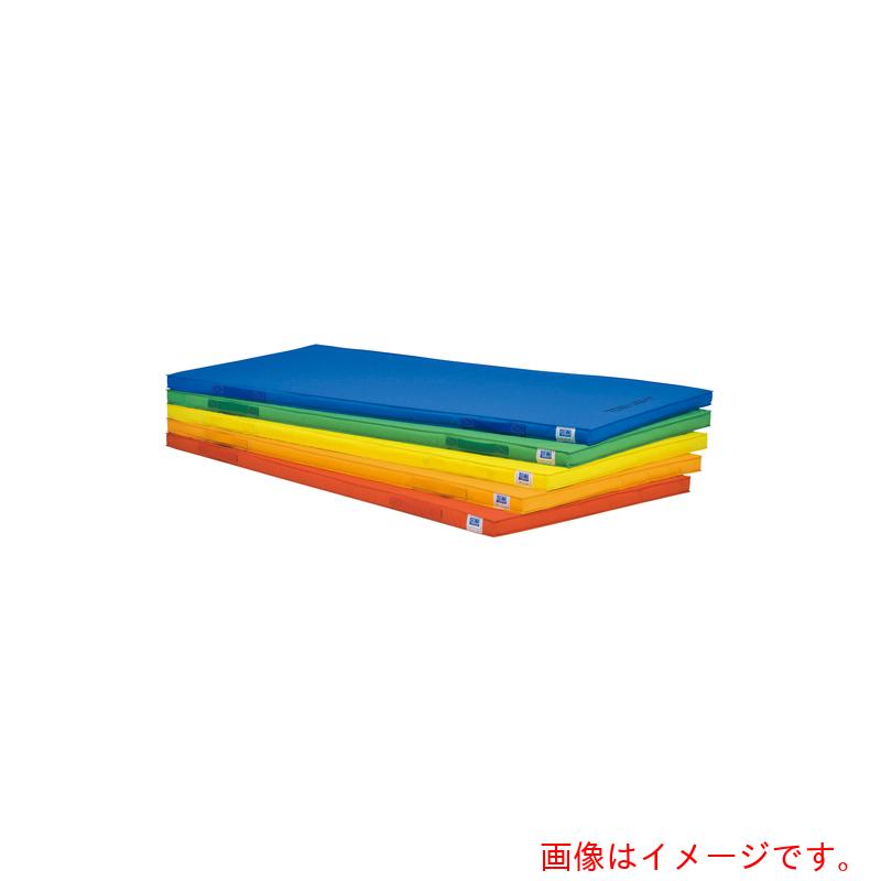 トーエイライト（TL）　軽量エコカラーマット　９０×１８０×５ｃｍ　【品番：T1938V】
