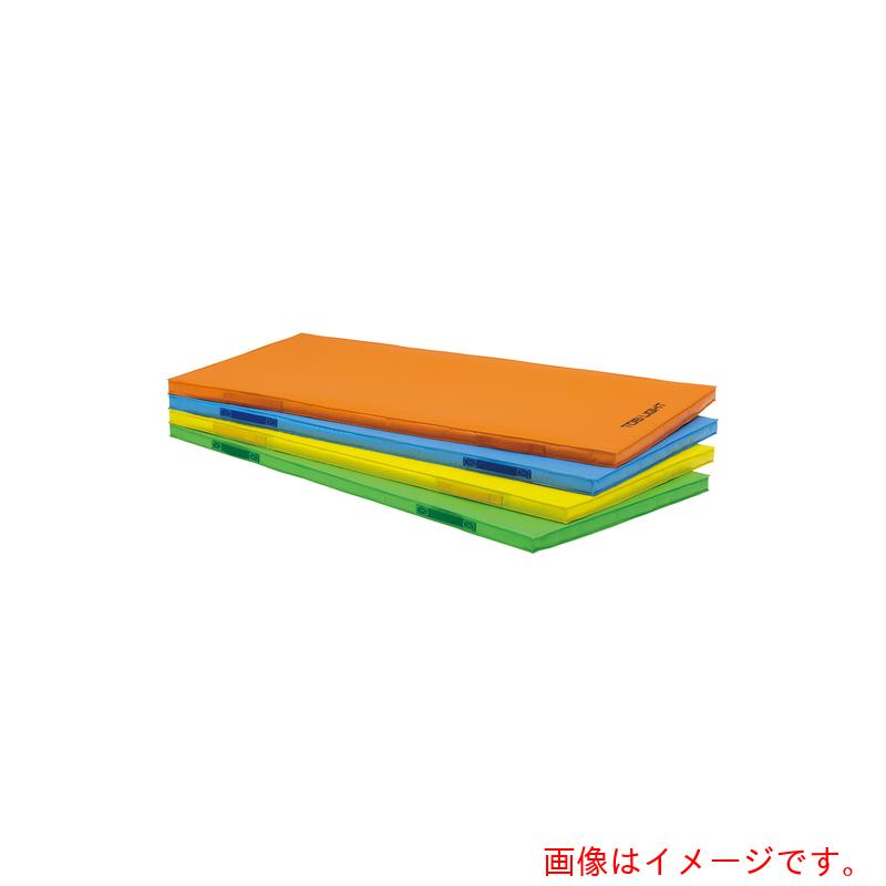 【別途送料あり】トーエイライト（TL）　屋内外兼用マット　屋内外兼用マット　【品番：T2529G】