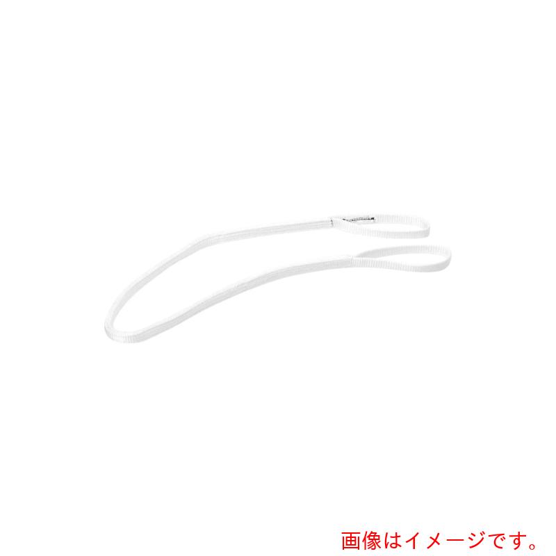 東レインターナショナル　シライ　ベルトスリング　ケミカルスリング　Ｃ１Ｅ（ＪＩＳ１トウキュウ）　両端アイ形　１００ｍｍ幅×長さ３．０ｍ　【品番：C1E-100X3.0】