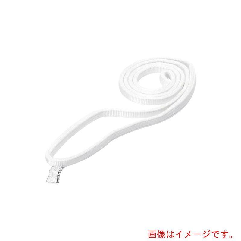★東レインターナショナル シライ ベルトスリング ケミカルスリング C1N(JIS1トウキュウ) エンドレス形 100mm幅×長さ3.25m 【品番:C1N-100X3.25】|住設プロ 店